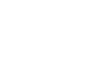 Evolution games at Ny Spins Casino